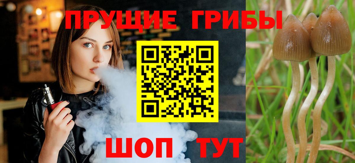 Псилоцибиновые грибы мухоморы  Галлюциногенные грибы GOLDEN TEACHER  закладки  Верхняя Салда  Вход с VPN 